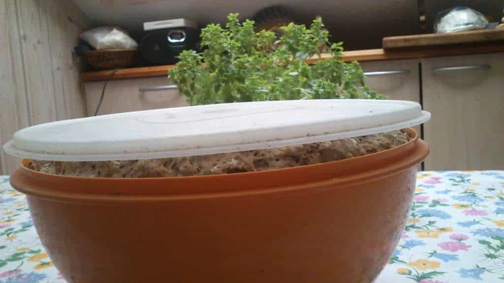 Scandinavian Style Brown Bread